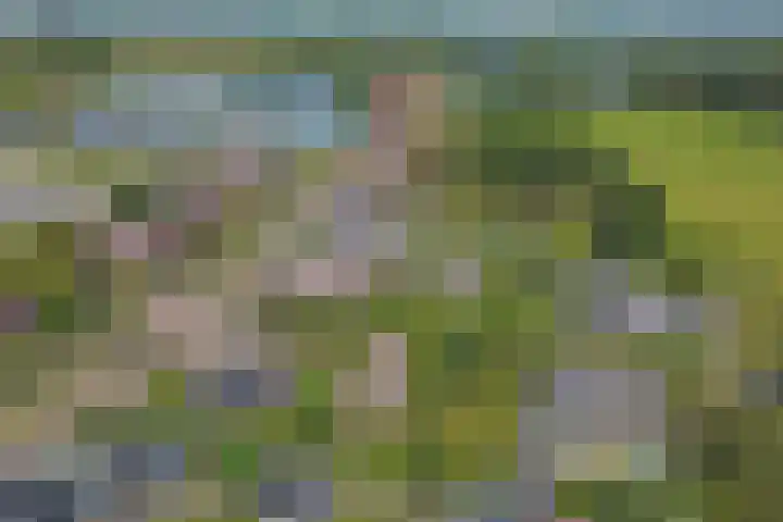 Hoge Wal 88 Goirle thumbnail 40
