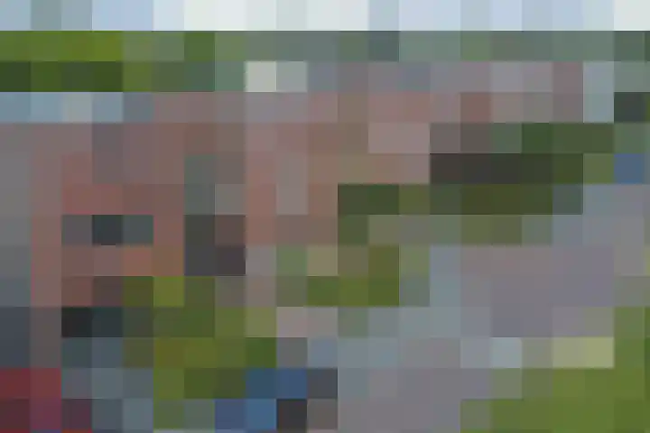 Hoge Wal 88 Goirle thumbnail 41