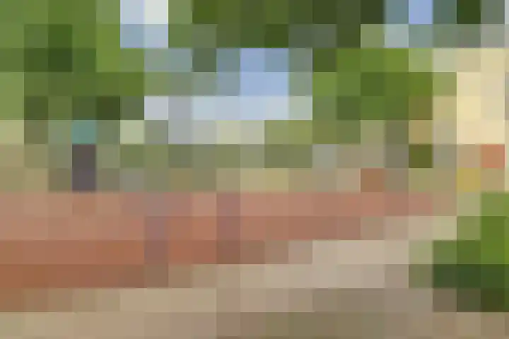 Hoge Wal 88 Goirle thumbnail 42