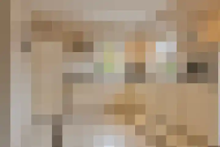 Hoge Weer 18 Weerselo thumbnail 12