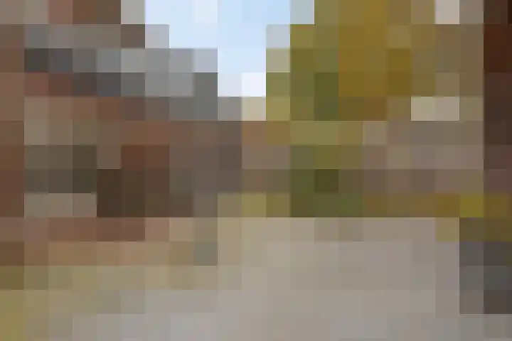Hoge Weer 18 Weerselo thumbnail 25