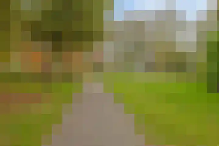 Hoge Weer 18 Weerselo thumbnail 28