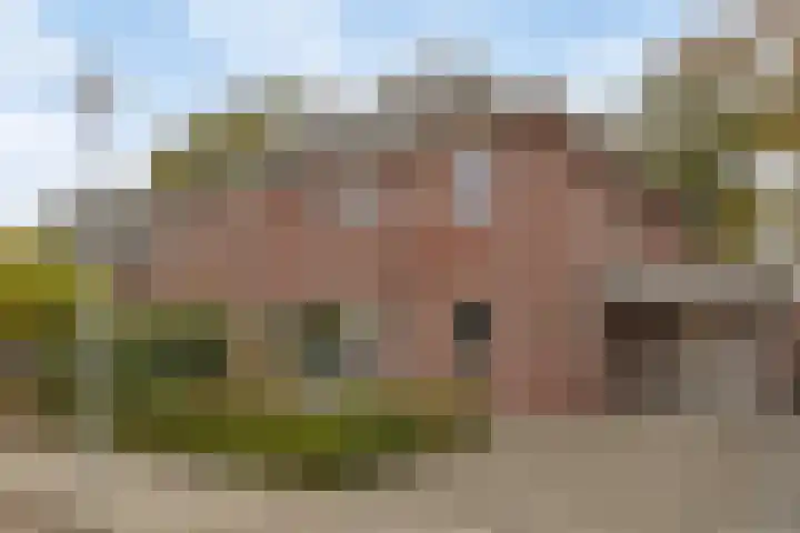 Hoge Weer 18 Weerselo thumbnail 34