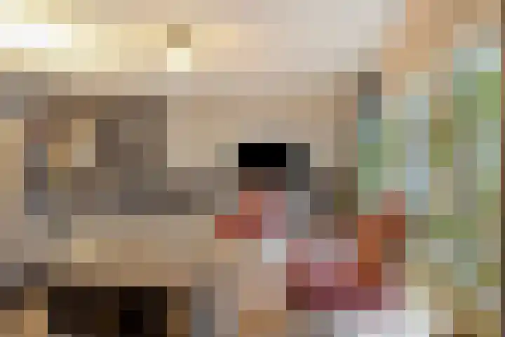 Hoge Weer 18 Weerselo thumbnail 9