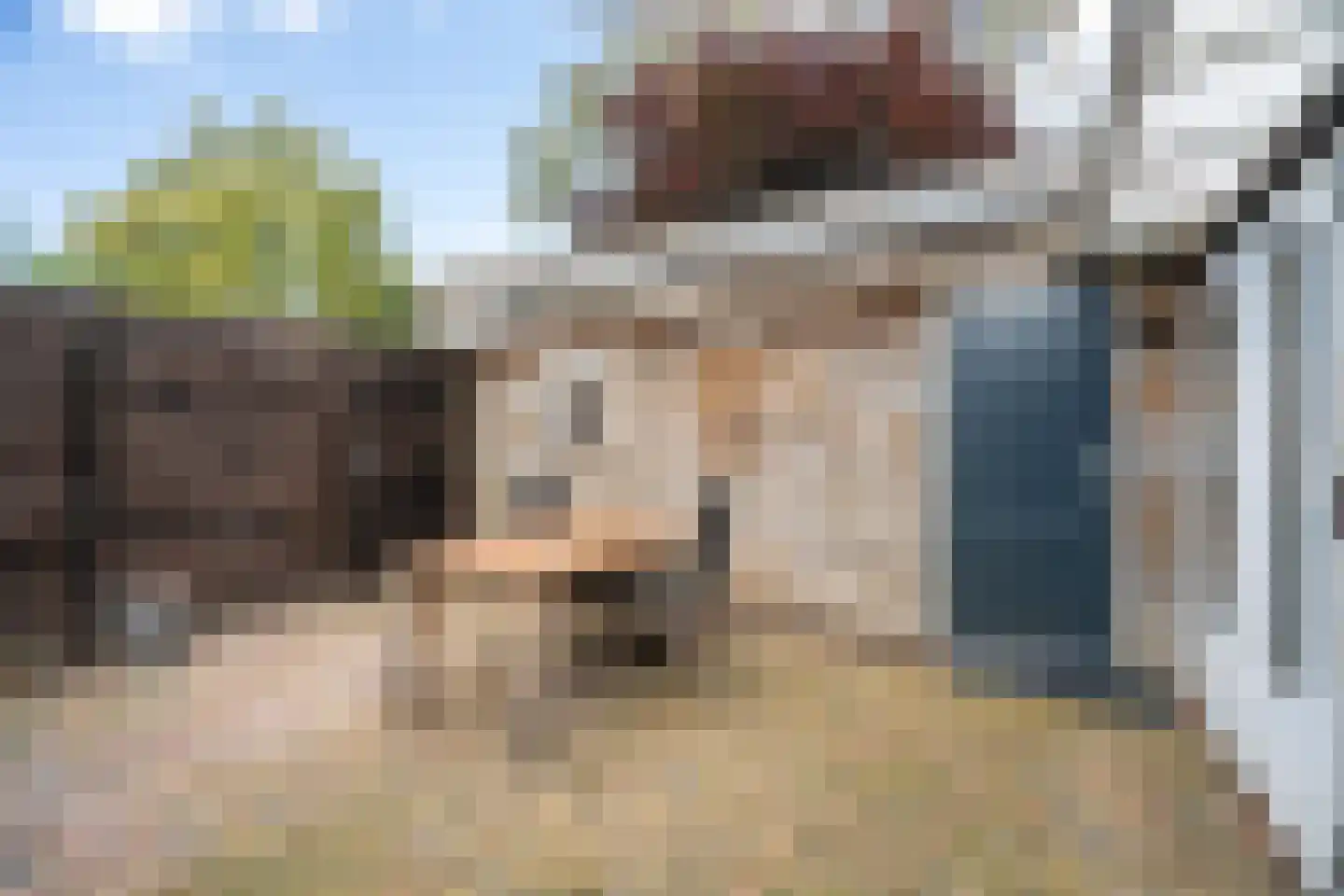 Hoge Weerd 25 Epe thumbnail 31
