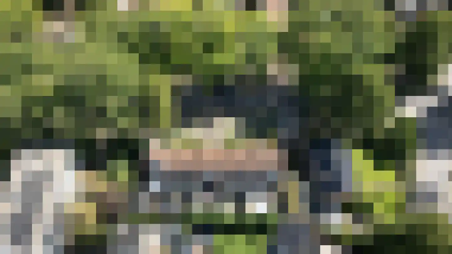 Hoge Weerd 25 Epe thumbnail 33