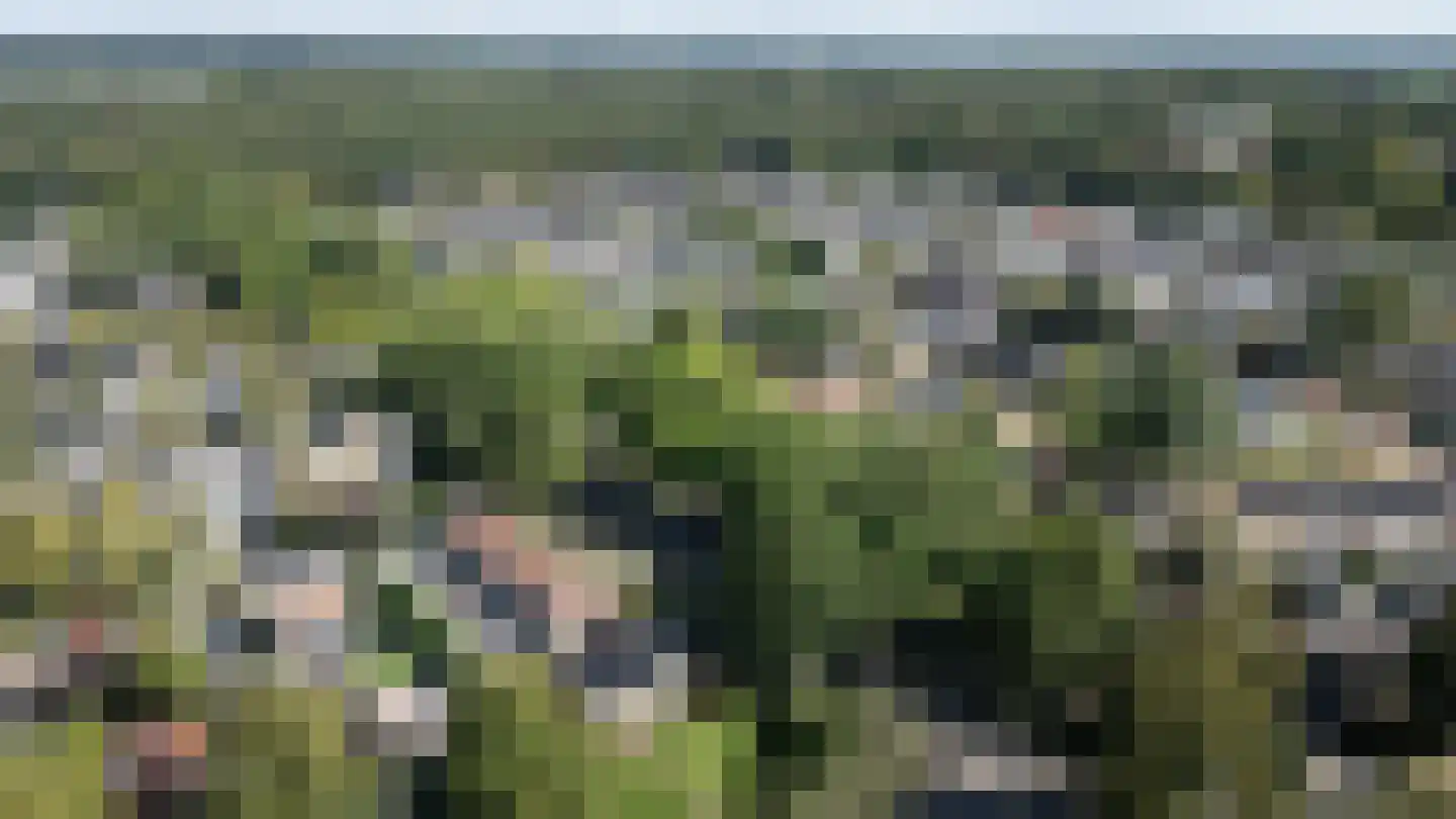 Hoge Weerd 25 Epe thumbnail 34