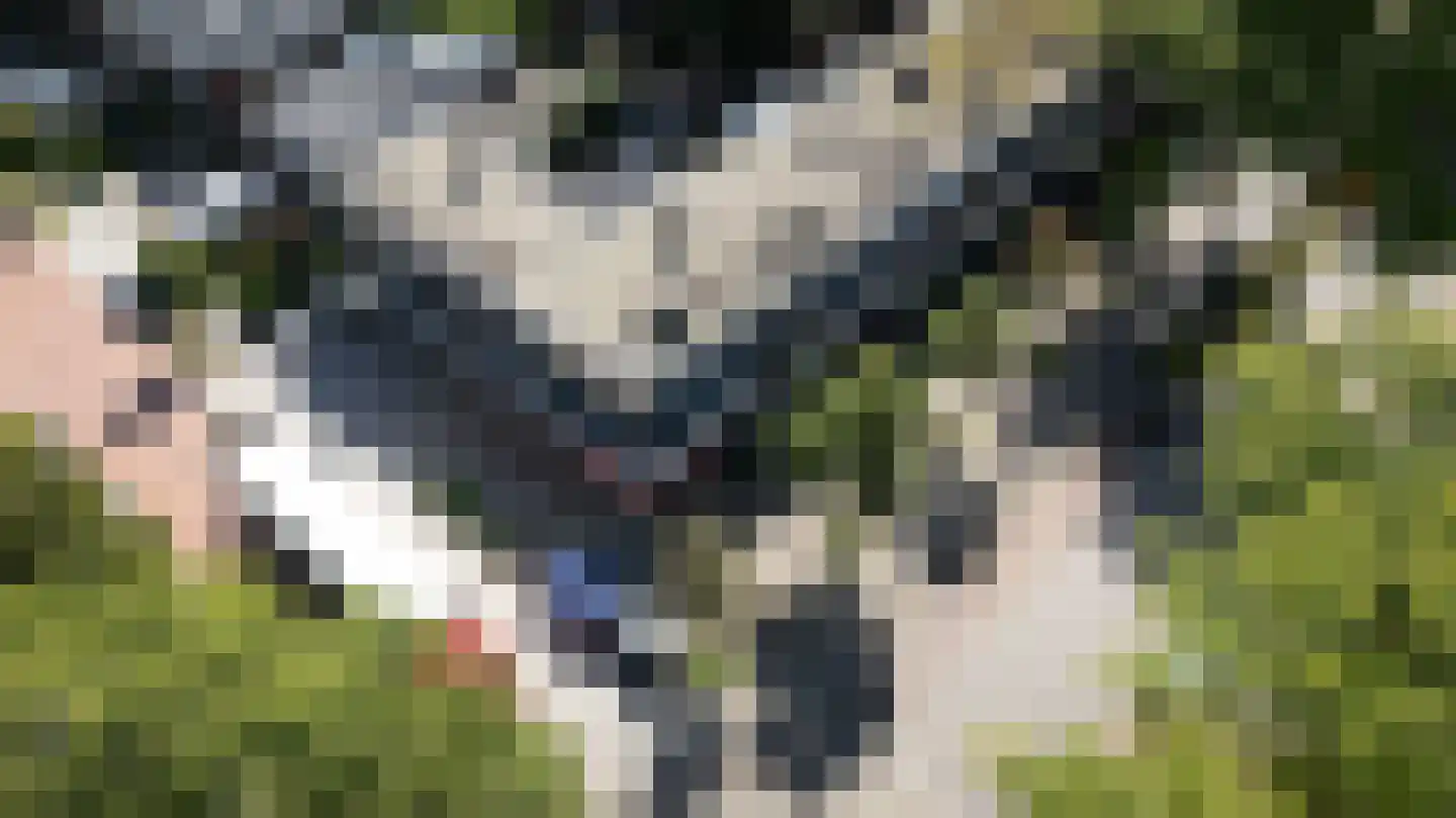 Hoge Weerd 25 Epe thumbnail 35