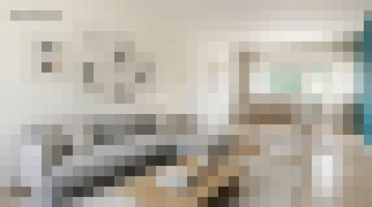 Hoge Weerd 34 Epe thumbnail 11