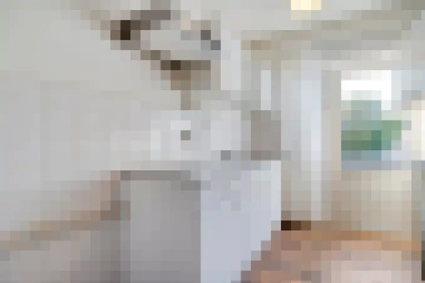 Hoge Weerd 34 Epe thumbnail 14