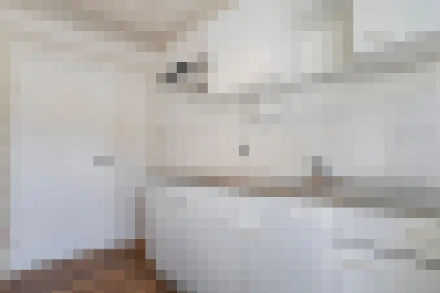 Hoge Weerd 34 Epe thumbnail 16