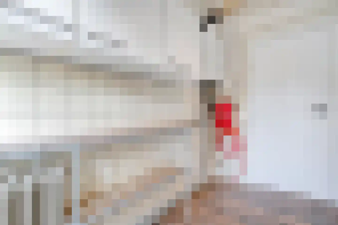 Hoge Weerd 34 Epe thumbnail 17