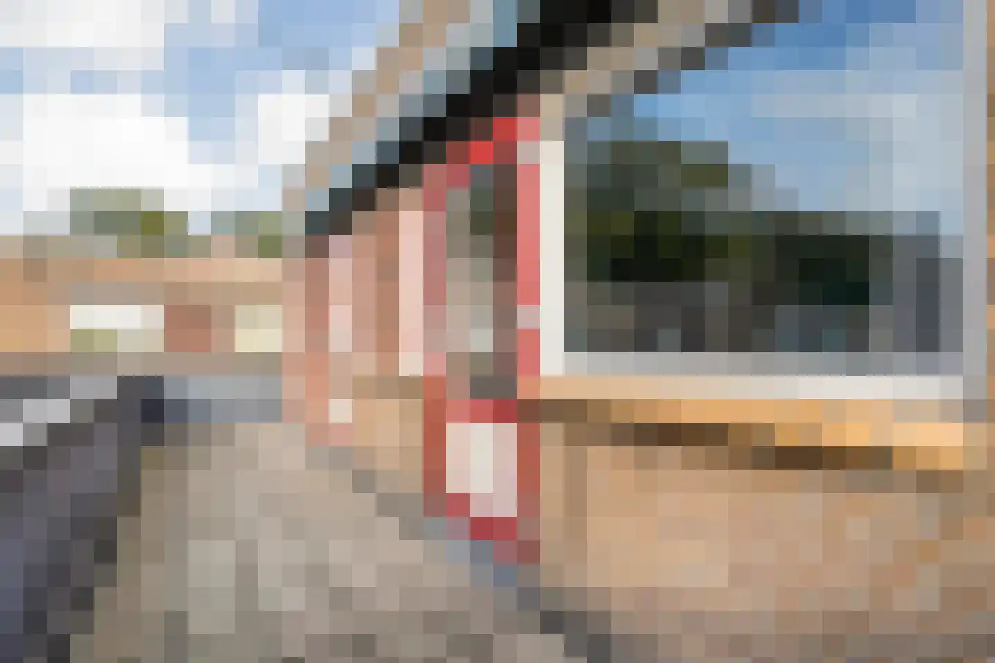 Hoge Weerd 34 Epe thumbnail 19