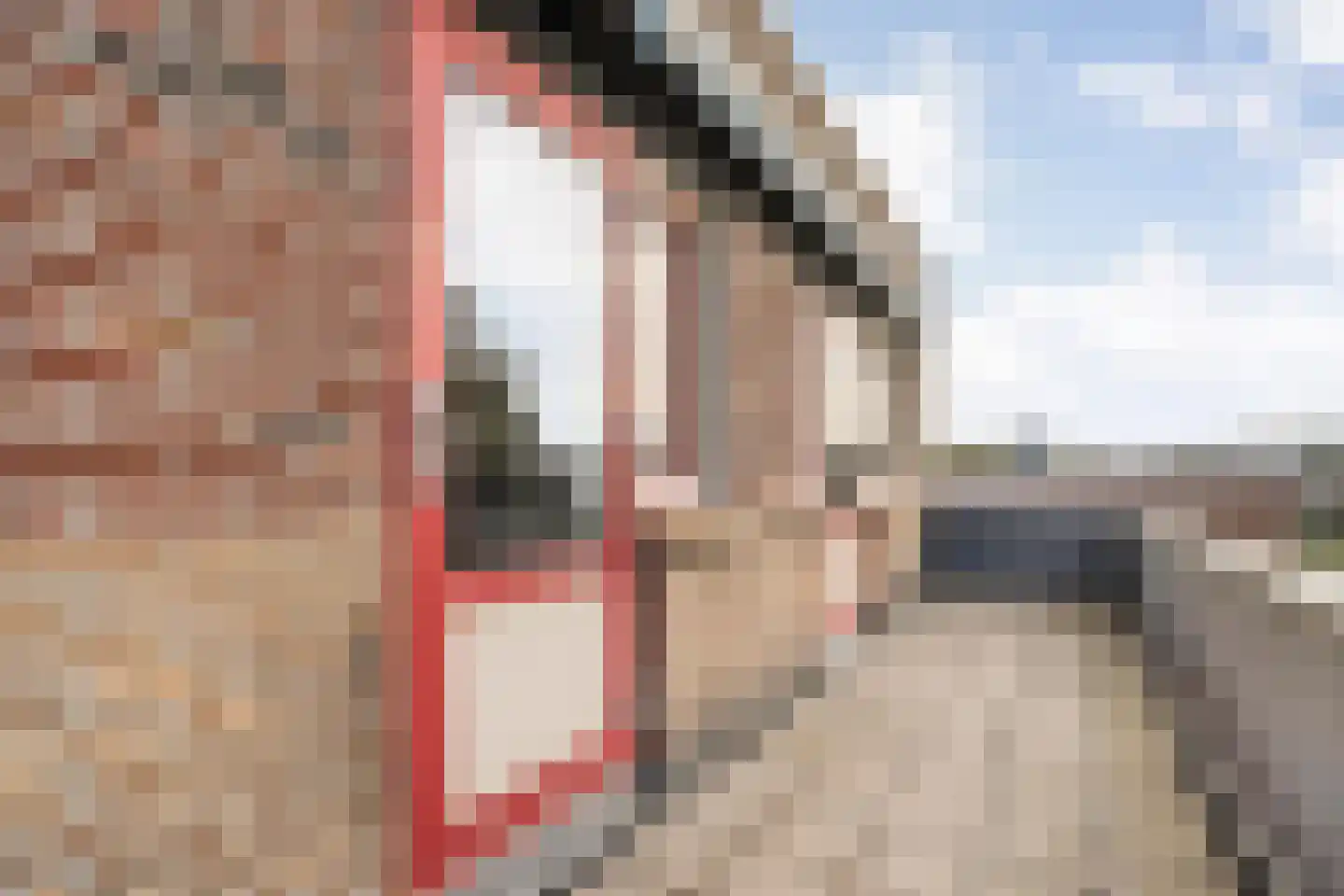 Hoge Weerd 34 Epe thumbnail 20