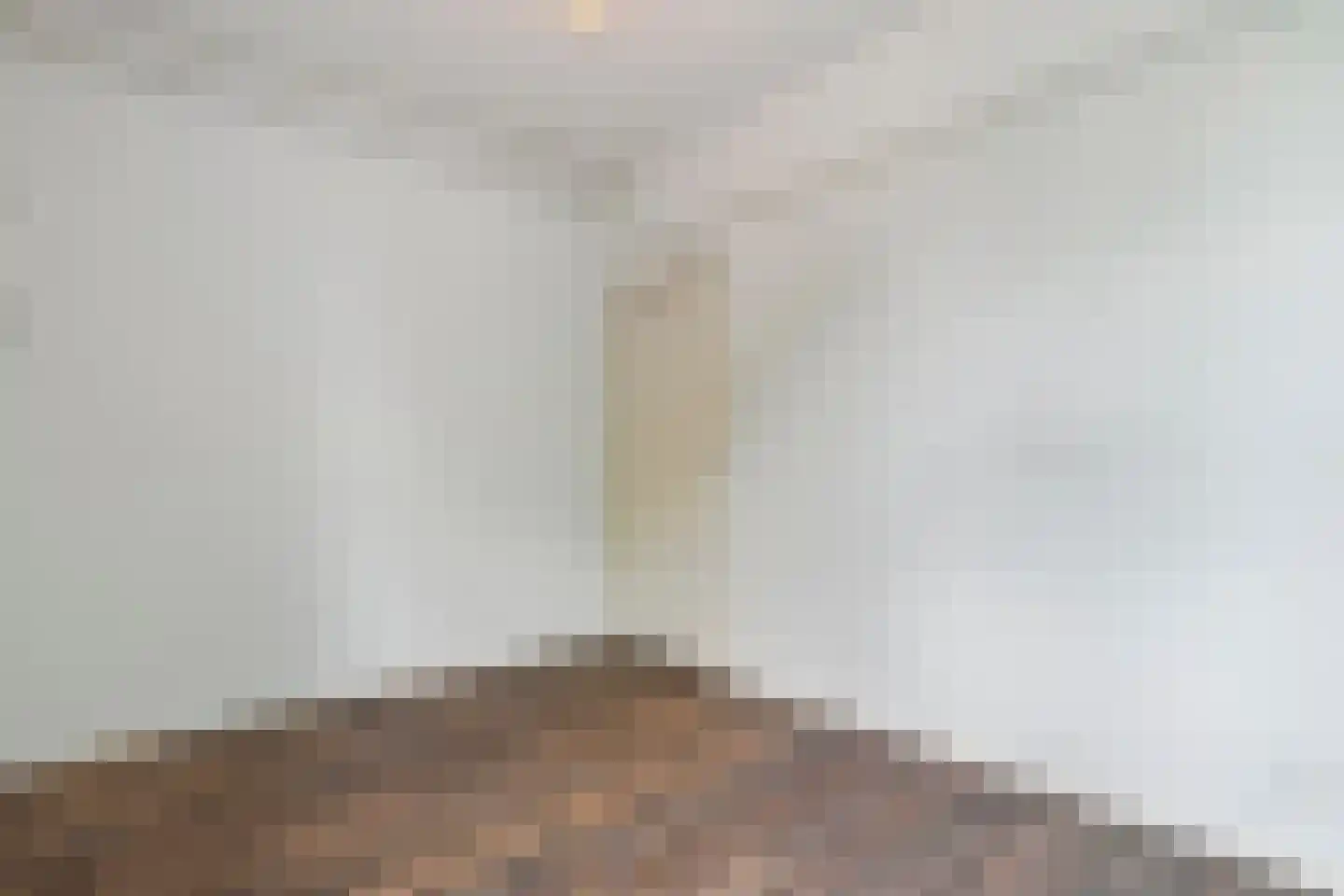 Hoge Weerd 34 Epe thumbnail 30