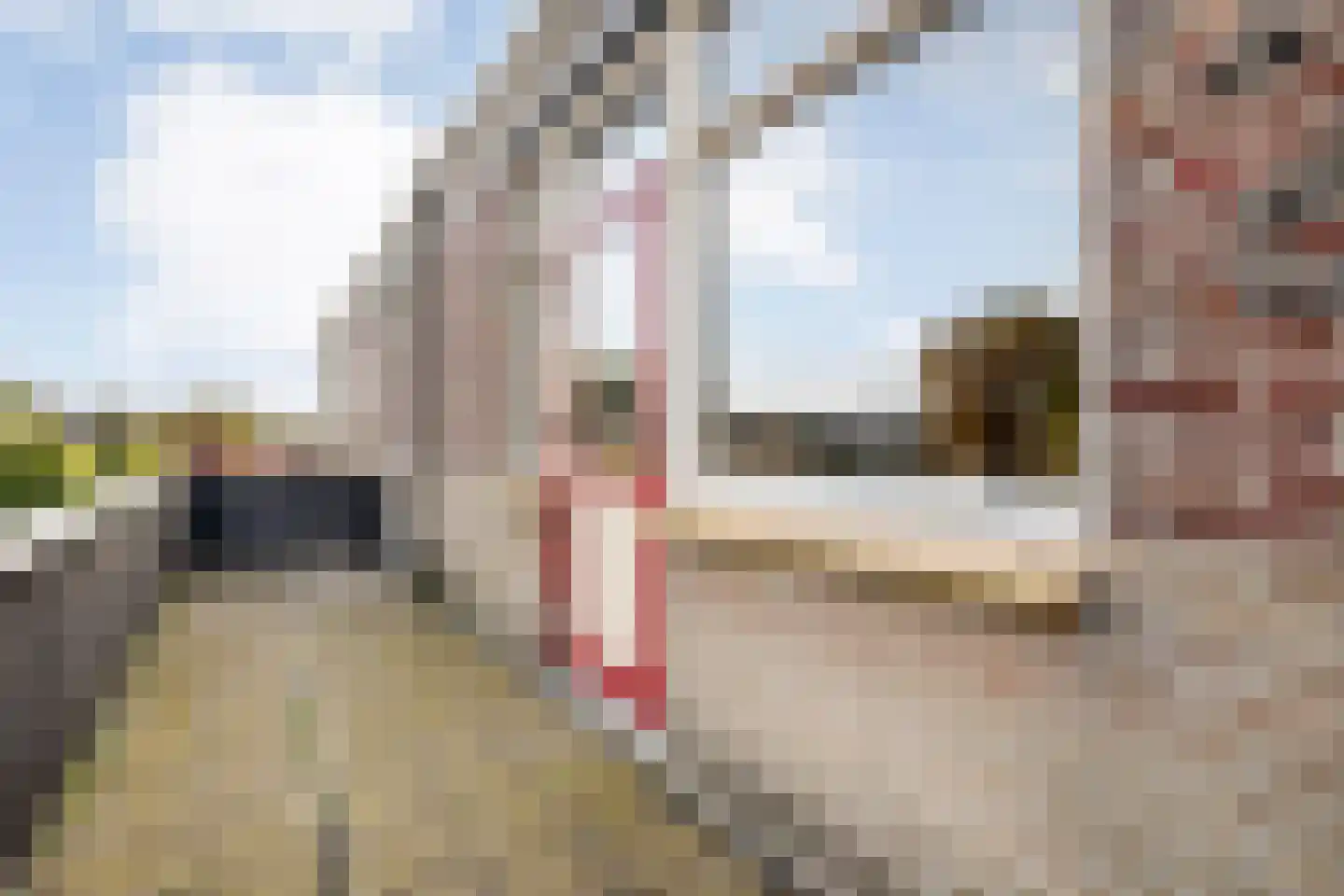 Hoge Weerd 34 Epe thumbnail 32