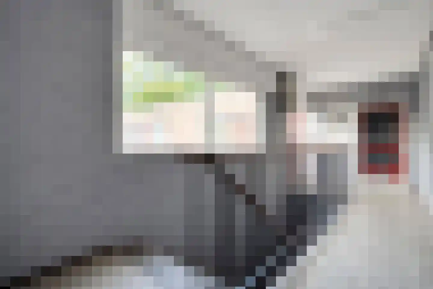 Hoge Weerd 34 Epe thumbnail 43