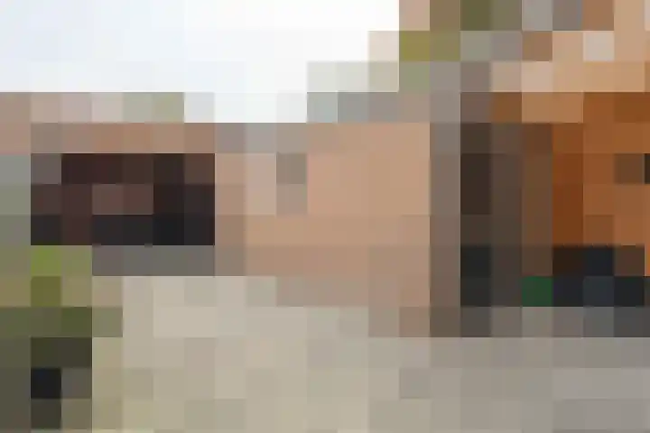 Hoge Weerd 57 Epe thumbnail 26