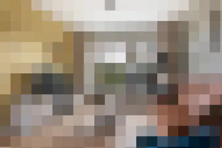 Hoge Weerd 57 Epe thumbnail 6