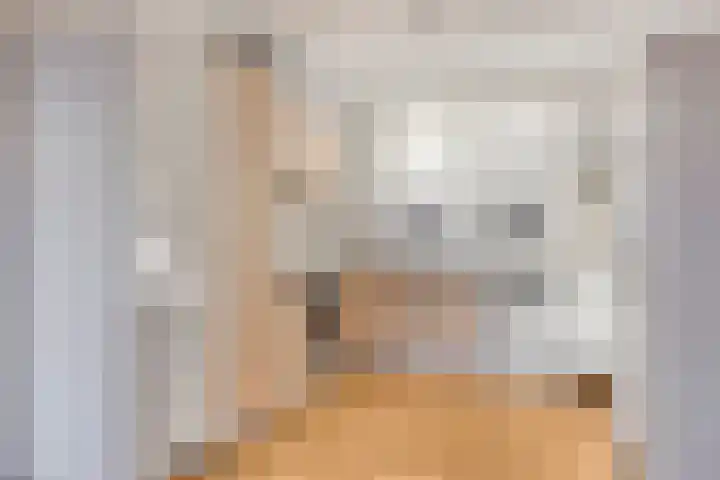 Hoge Weere 100 Zwaag thumbnail 11