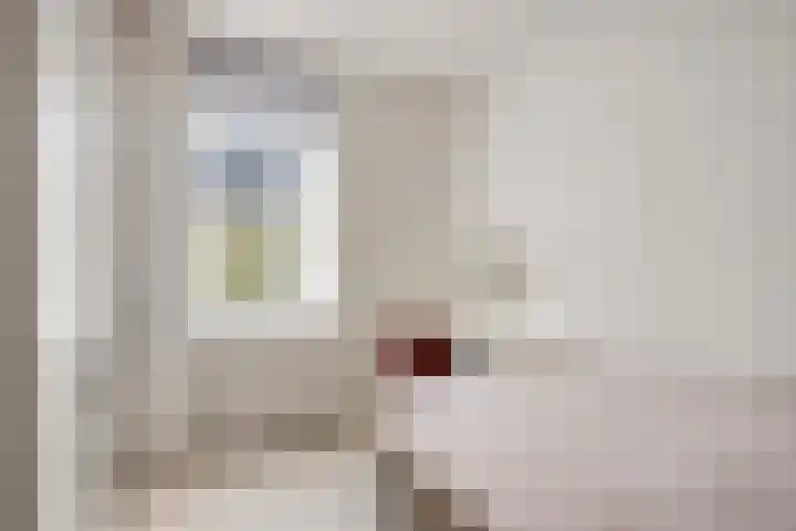 Hoge Weere 100 Zwaag thumbnail 14