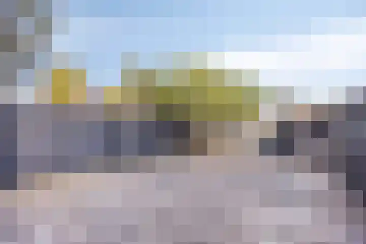 Hoge Weere 100 Zwaag thumbnail 24