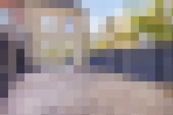 Hoge Weere 100 Zwaag thumbnail 25