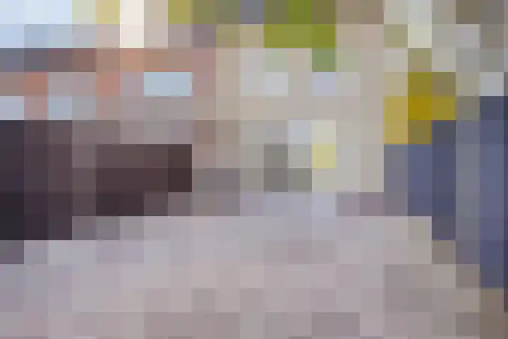 Hoge Weere 100 Zwaag thumbnail 26