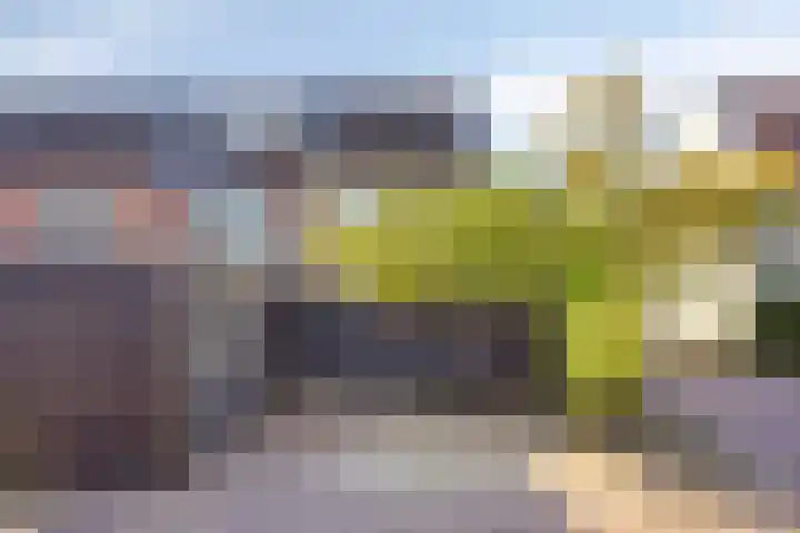 Hoge Weere 100 Zwaag thumbnail 27