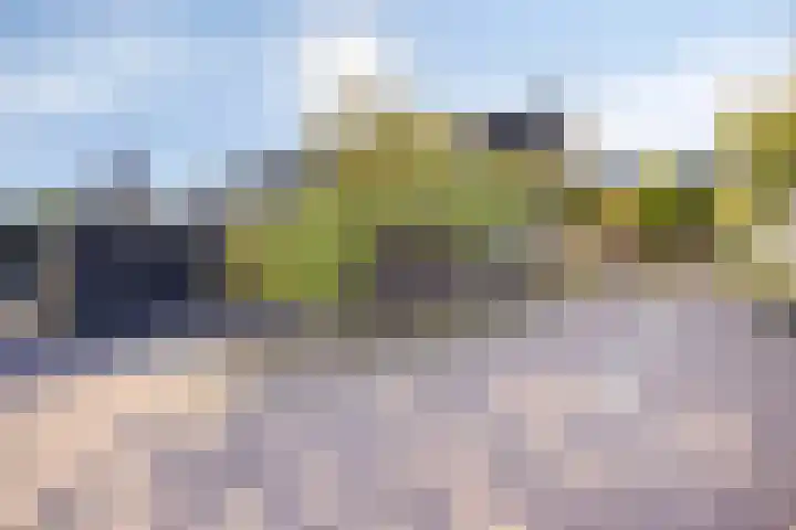 Hoge Weere 100 Zwaag thumbnail 29