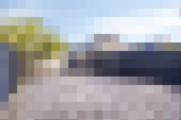 Hoge Weere 100 Zwaag foto 3