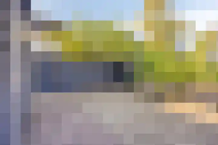 Hoge Weere 100 Zwaag thumbnail 30