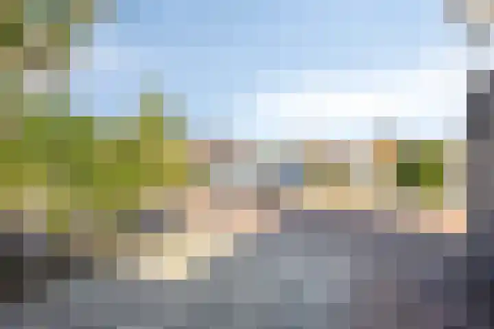 Hoge Weere 100 Zwaag thumbnail 31