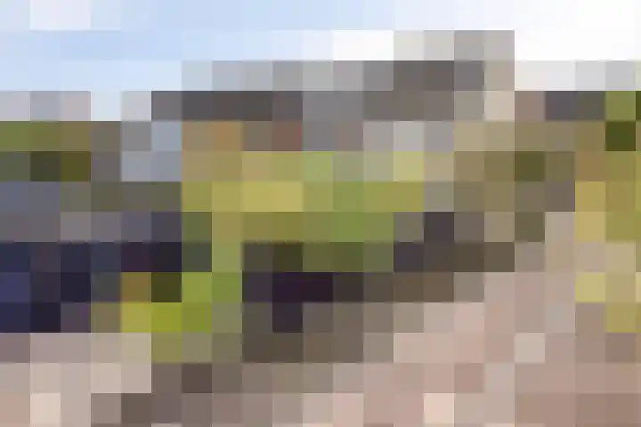 Hoge Weere 100 Zwaag thumbnail 33