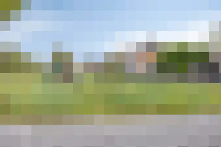 Hoge Weere 100 Zwaag thumbnail 36