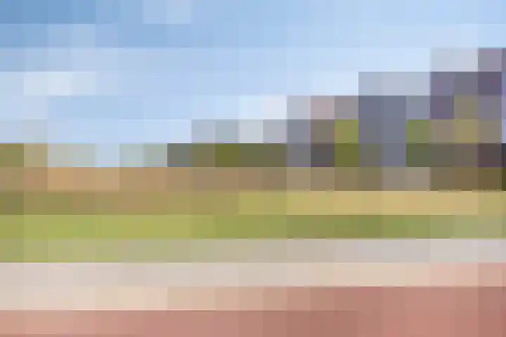 Hoge Weere 100 Zwaag thumbnail 37