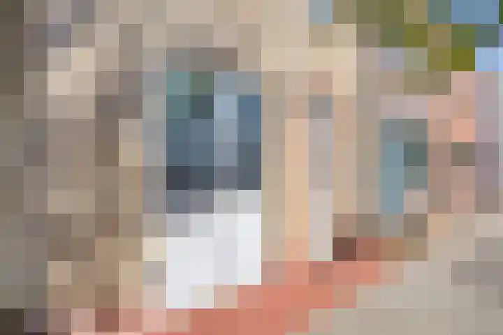 Hoge Weere 100 Zwaag thumbnail 4