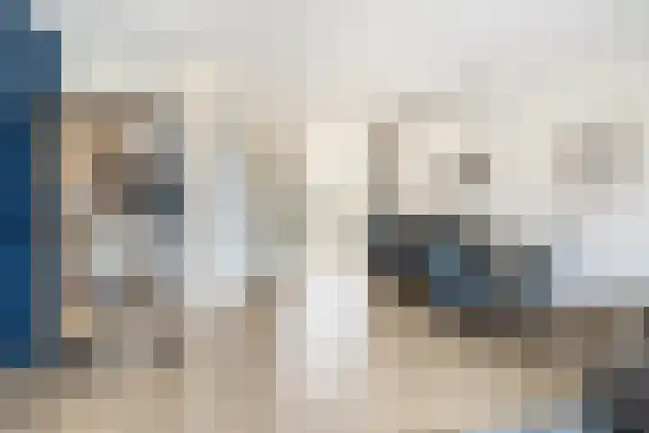 Hoge Weere 110 Zwaag thumbnail 13