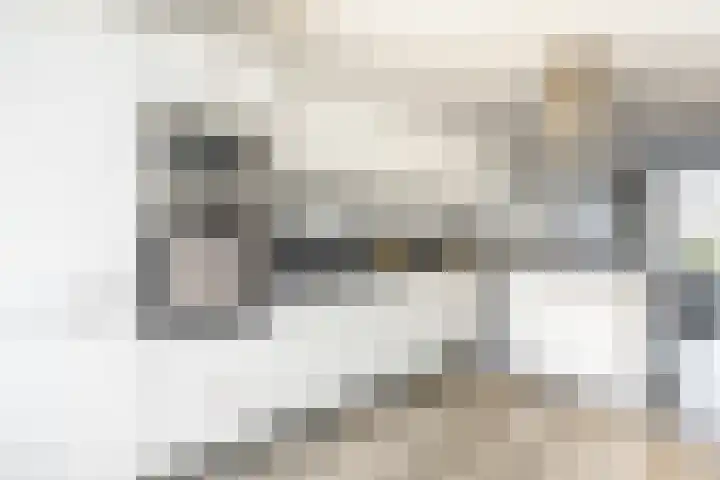 Hoge Weere 110 Zwaag thumbnail 15