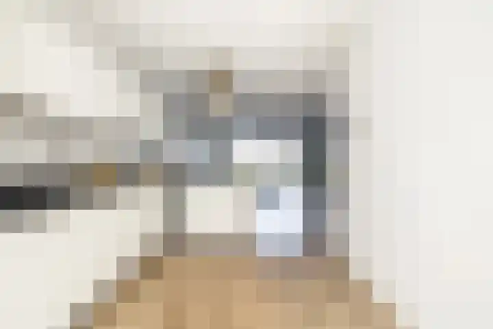 Hoge Weere 110 Zwaag thumbnail 16