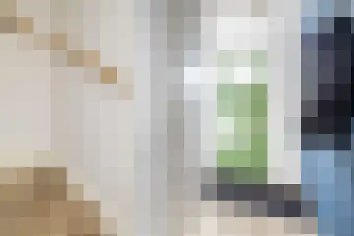 Hoge Weere 110 Zwaag thumbnail 17
