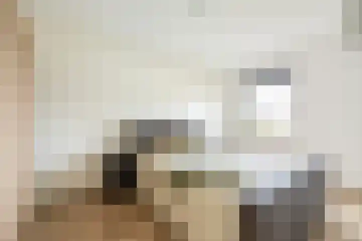 Hoge Weere 110 Zwaag thumbnail 20