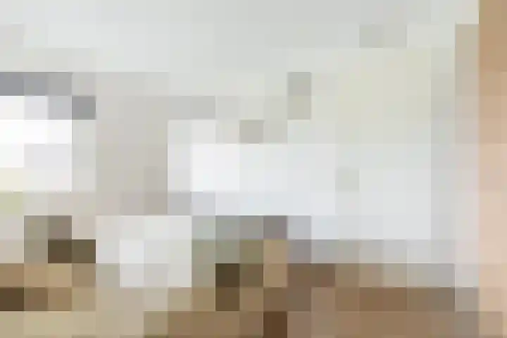 Hoge Weere 110 Zwaag thumbnail 21
