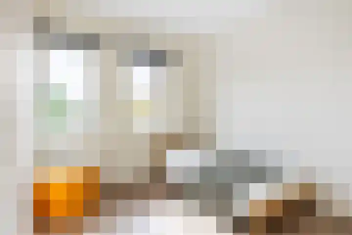 Hoge Weere 110 Zwaag thumbnail 23
