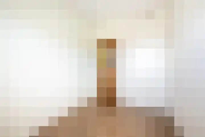 Hoge Weere 110 Zwaag thumbnail 26