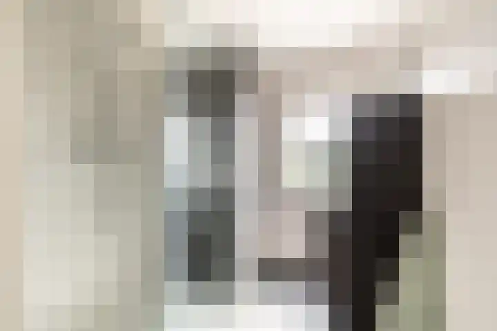 Hoge Weere 110 Zwaag thumbnail 27