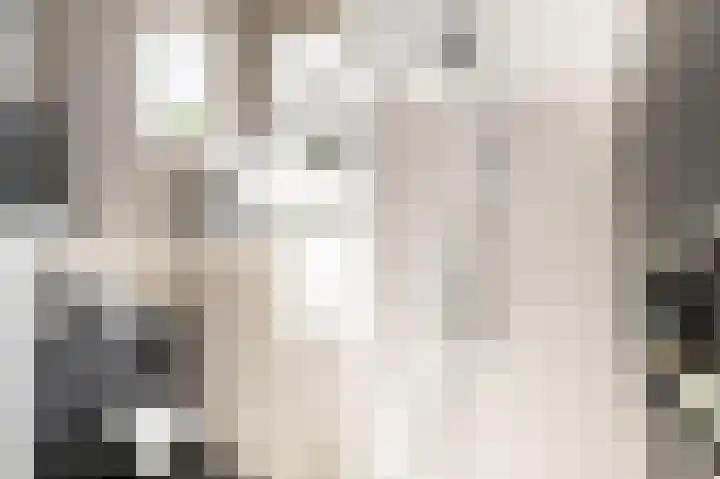 Hoge Weere 110 Zwaag thumbnail 28
