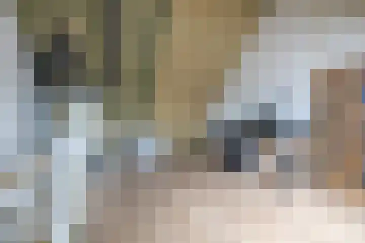 Hoge Weere 110 Zwaag thumbnail 29