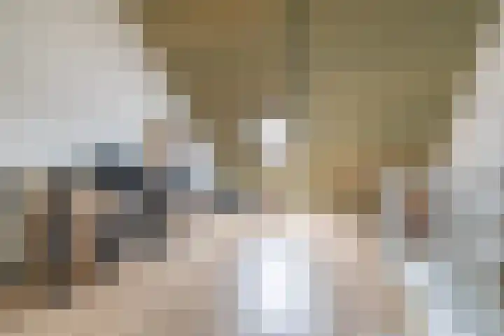 Hoge Weere 110 Zwaag thumbnail 30