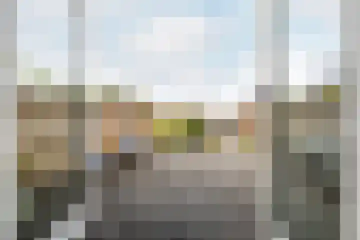 Hoge Weere 110 Zwaag thumbnail 31